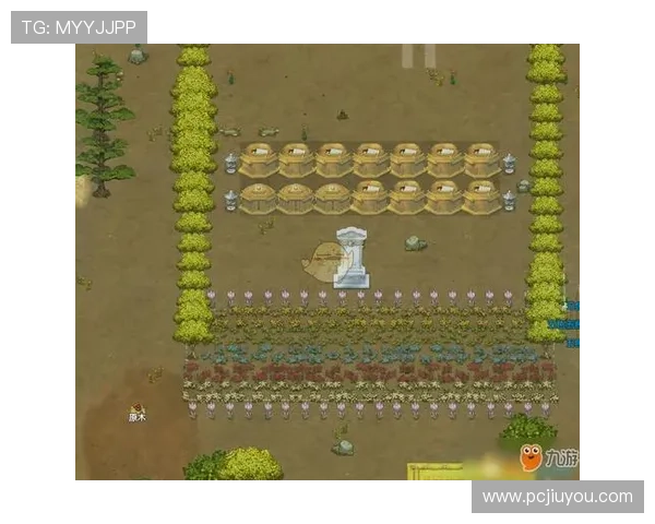 九游游戏注册地址流程详解及常见问题解决方案推荐